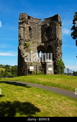 Crickhowell Castle, Crickhowell, Brecon Beacons, Wales, UK Stock Photo