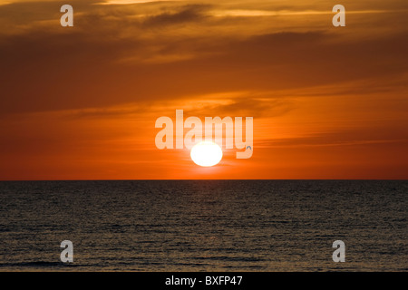 Lone bird flies at sunset over the Gulf of Mexico from Anna Maria Island, Florida, United States of America Stock Photo