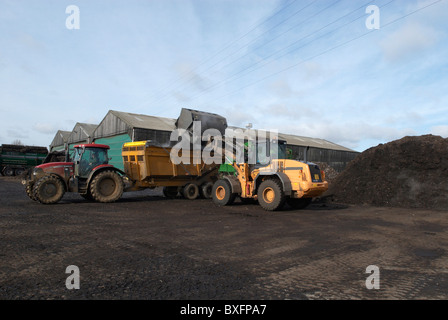 Front loader loading compost onto tractor Stock Photo