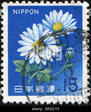 JAPAN - CIRCA 1960s: A stamp printed in Japan shows camomile, circa 1960s Stock Photo