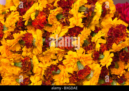 Flowers on a stall at the flower market in Jaipur, India Stock Photo