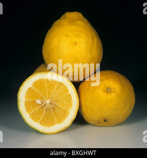 Whole & sectioned fruit from citrus rootstock tree - Swingle Citrumelo Stock Photo
