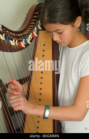 Girl practicing harp at home, France. Stock Photo