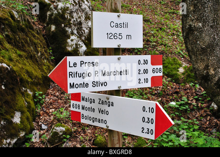 indications of hiking trails in the valleys of the Trentino valley surrounded by pine forests Gresta Stock Photo