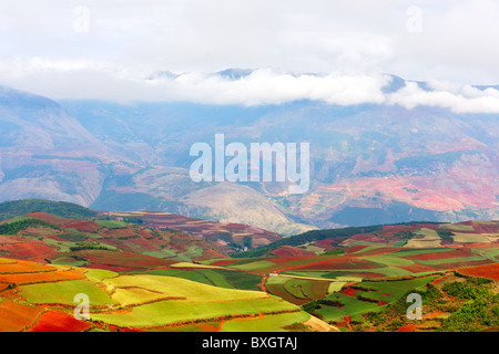 Red land in Yunnan Province, southwest of China Stock Photo