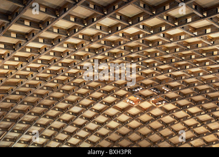 Gridshell timber roof made from renewable sources in the canteen area of the Savill Building, Windsor Park, Berkshire, UK. Stock Photo