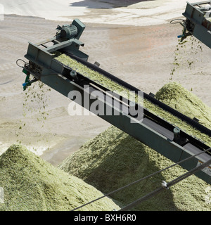 Conveyor belts on a Glass recycling machine at Day Aggregates  a construction materials and recycling plant, Greenwich, London. Stock Photo