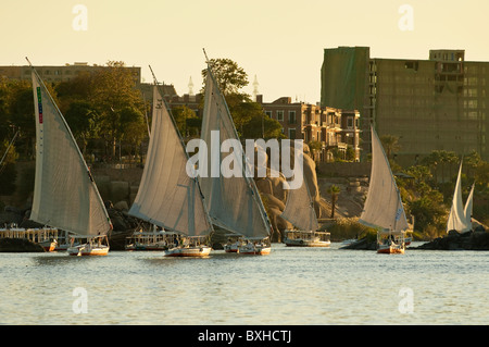 Egypt, Aswan. Felucca sailing on the Nile near Aswan. Stock Photo