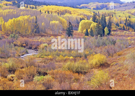 Autumn meadow and aspen groves, Kebler Pass Road west of Crested Butte, Colorado, USA Stock Photo