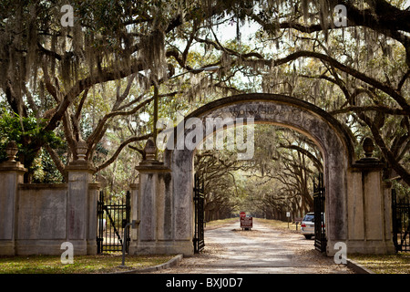 Gate to the stately live oak avenue at Wormsloe Plantation in Savannah, Georgia, USA. Stock Photo