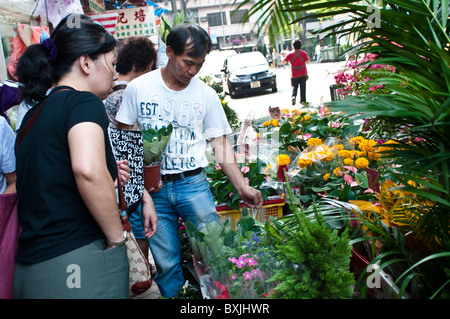 Seller and shopper at the Flower market, Mong Kok, Kowloon, Hong Kong, China Stock Photo