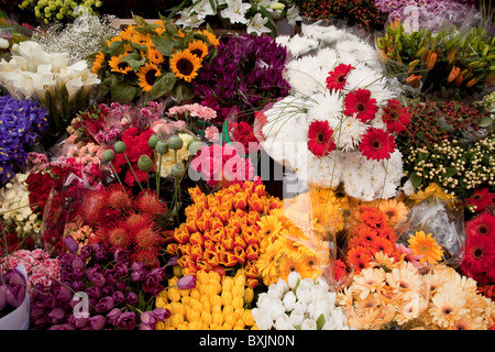 Flower-sellers stall in Dublin with display of flowers on Grafton Street in Dublin Ireland Stock Photo