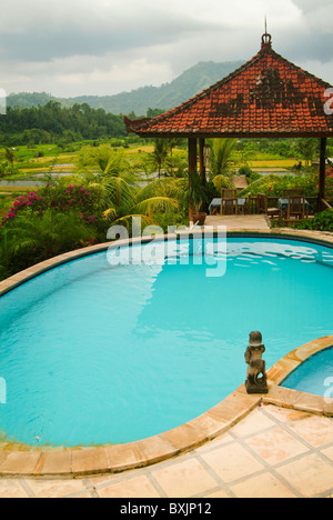 The swimming pool at Villa Cepik In the beautiful Sideman Valley of Bali, Indonesia. Surrounded by terraced rice fields. Stock Photo