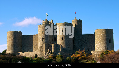Harlech Castle Gwynedd, Merionethshire, North Wales Stock Photo