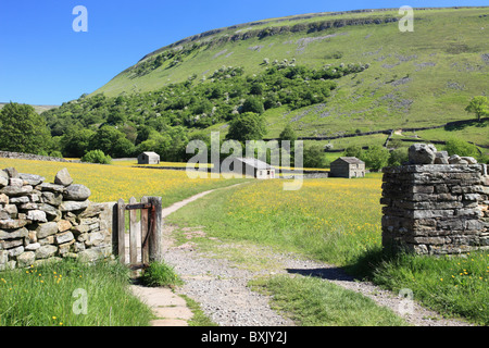 Buttercup Meadows near Muker in the Yorkshire Dales National Park Stock Photo