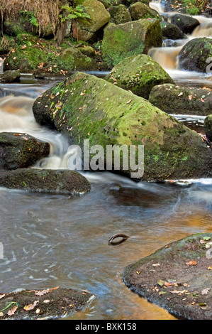 Burbage Brook flowing through Padley Gorge, Peak District Stock Photo