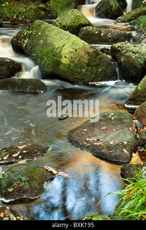 Burbage Brook flowing through Padley Gorge whilst the light above reflects in the pools, Peak District National Park Stock Photo