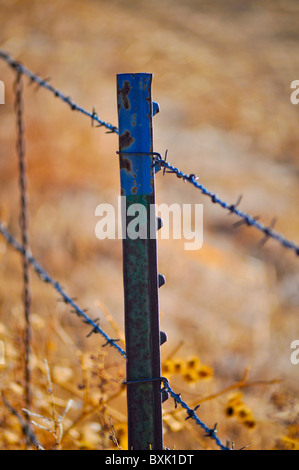 barbed wire fence post Stock Photo