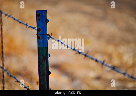 barbed wire fence post Stock Photo