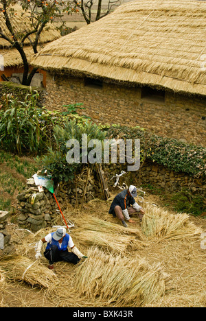 Men rethatching roof in Naganeupseong Folk Village, South Korea Stock Photo