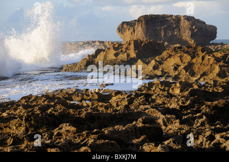 Crashing waves & rockpools Stock Photo