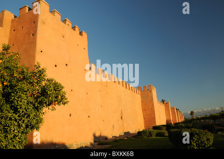 City walls with orange tree along Boulevard Yarmouk in Marrakech Stock Photo