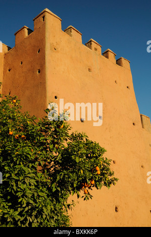 Orange trees & city walls along Boulevard Yarmouk in Marrakech Stock Photo