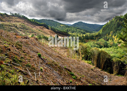 Clear cut logging operations in stormy Oregon mountain valley Stock Photo