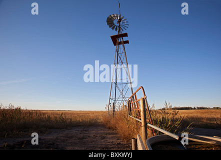 Windmill Pumps Water on Cattle Ranch Stock Photo