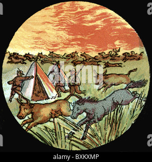 hunting, buffalo, American prairie, hand coloured glass slide for Laterna Magica, USA, circa 1860, Additional-Rights-Clearences-Not Available Stock Photo