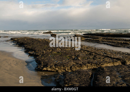 Muschelbänke bei Cape Farewell in Neuseeland  mussel bed near Cape Farewell in the north of New Zealand's South Island Stock Photo