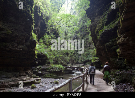 Trekkers walking along a board-walk through a deep gorge in the southern fringes of the Qinling Mountains in China. Stock Photo