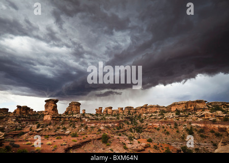 Threatening storm clouds over the Needles District of Canyonlands National Park, Utah, USA. Stock Photo