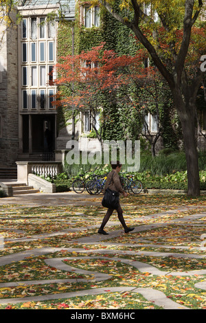 Student walking on university campus on a fall day Stock Photo