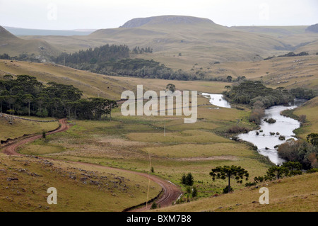 Pocket of vegetation near stream in valley, Santa Catarina, Brazil Stock Photo