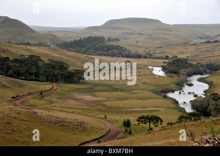 Pocket of vegetation near stream in valley, Brazilian Highlands Santa Catarina, Brazil Stock Photo