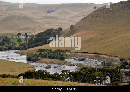 Pocket of vegetation near stream in valley, Santa Catarina, Brazil Stock Photo