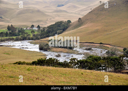 Pocket of vegetation near stream in valley, Santa Catarina, Brazil Stock Photo