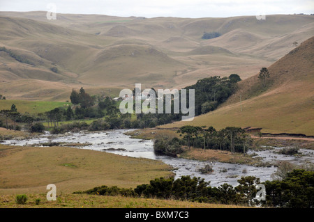 Pocket of vegetation near stream in valley, Santa Catarina, Brazil Stock Photo