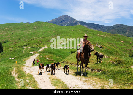 Shepherd with dogs on Mt Hikurangi track,east cape,new zealand Stock Photo