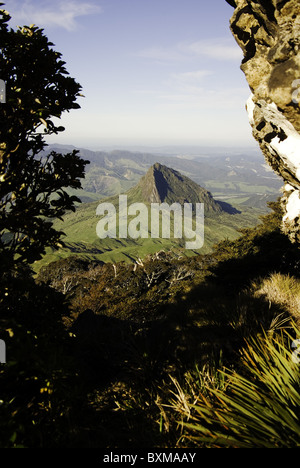 View from the top of Mt Hikurangi,East Cape,New Zealand Stock Photo