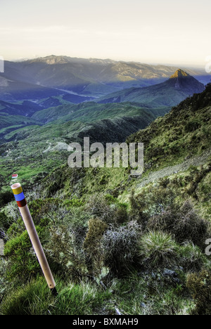 track marking on Mt Hikurangi,East Cape,New Zealand Stock Photo