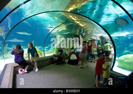 Henry Doorly Zoo - Scott Aquarium in Omaha, Nebraska Stock Photo ...