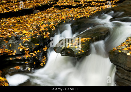 Autumn in Watkins Glen State Park, Schuyler County, NY. Stock Photo