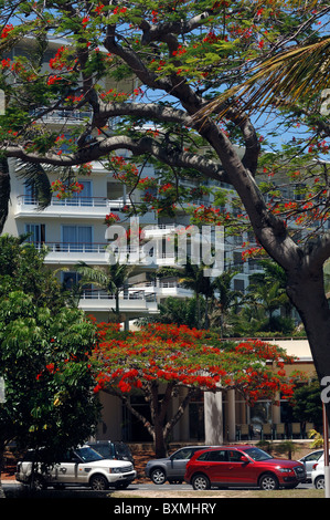 Anse Vata Best Western Hotel, beach station at Noumea, New Caledonia Stock Photo