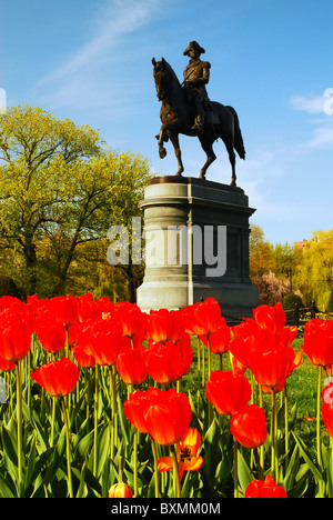 A Statue of George Washington highlights the Boston Public Garden in Spring Stock Photo