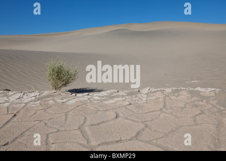 Drought land in dunes in the Death Valley National Park, USA Stock Photo