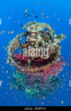 Coral growth on the buoy wreck structure. Stock Photo