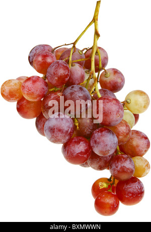 Bunch of red grapes isolated on white with clipping path. Stock Photo