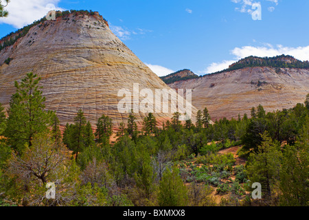 Checkerboard Mesa in Zion National Park, USA Stock Photo - Alamy